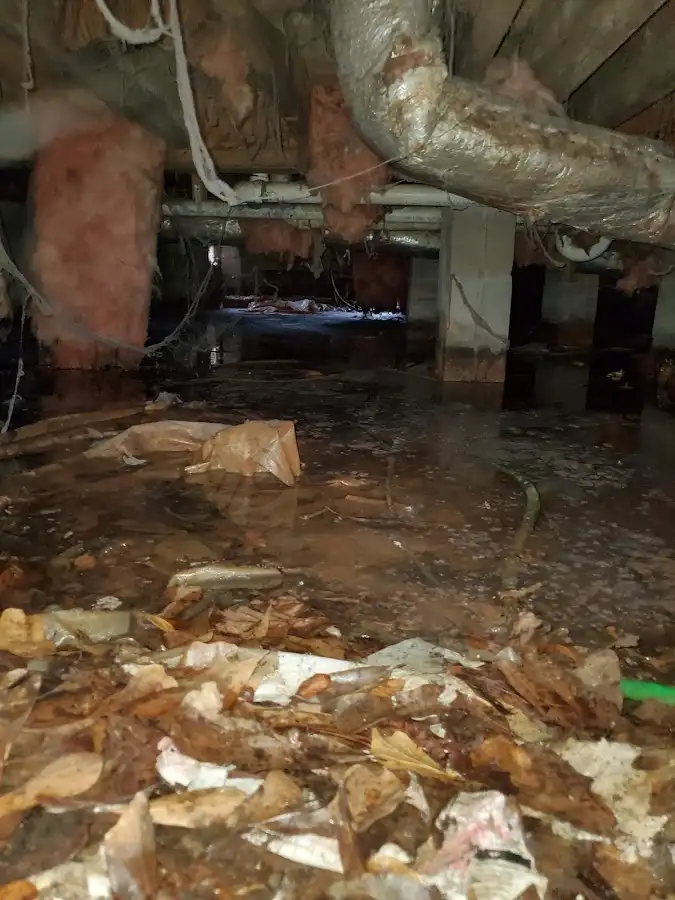 Crawl space flood assessment for Leak Detection & Repair in West Orange