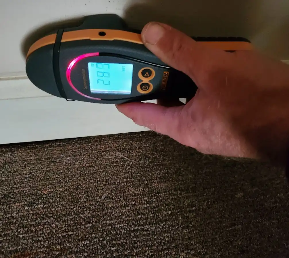 Moisture detection at baseboard during Sewage Cleanup & Sanitation in West Orange